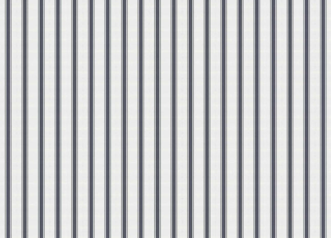 Stripe 5 A00735V