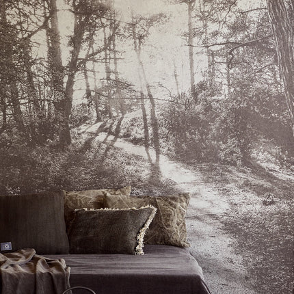 Wallpower Favourites 309020