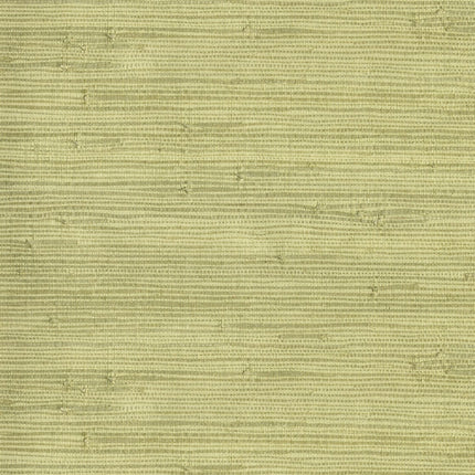 Natural Wallcoverings III 303502