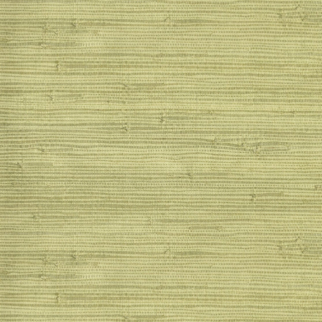 Muster von Natural Wallcoverings III 303502