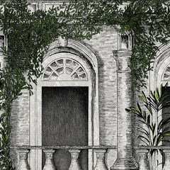 Collection image for: Tropical Daze