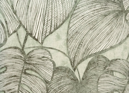 Muster von Monstera 26935-HTM