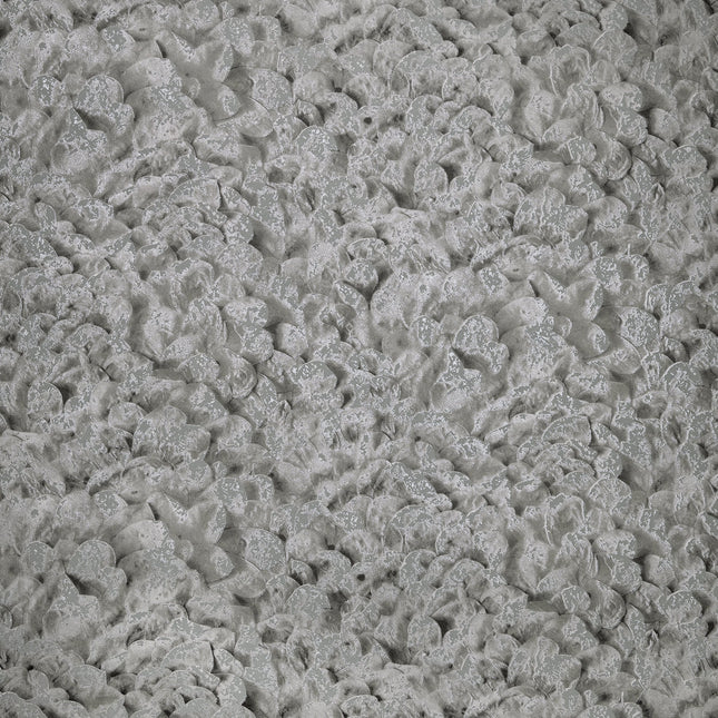 Salt,  Arco Black Cumin