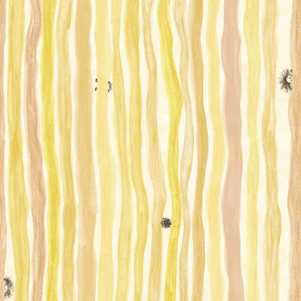 I'm curious 27553-HTM