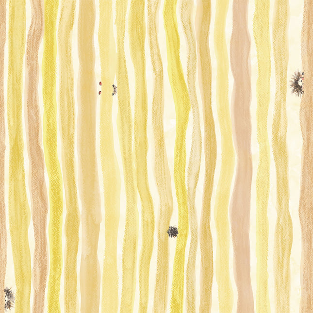 I'm curious 27553-HTM