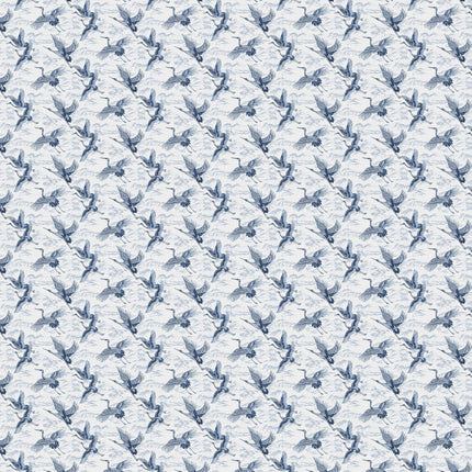 Imperial Ibis B00136