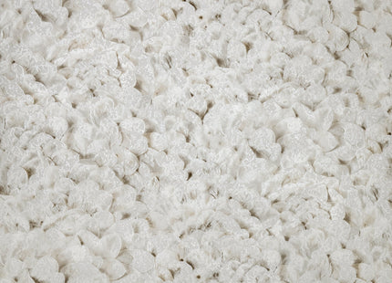 Salt,  Arco Allspice