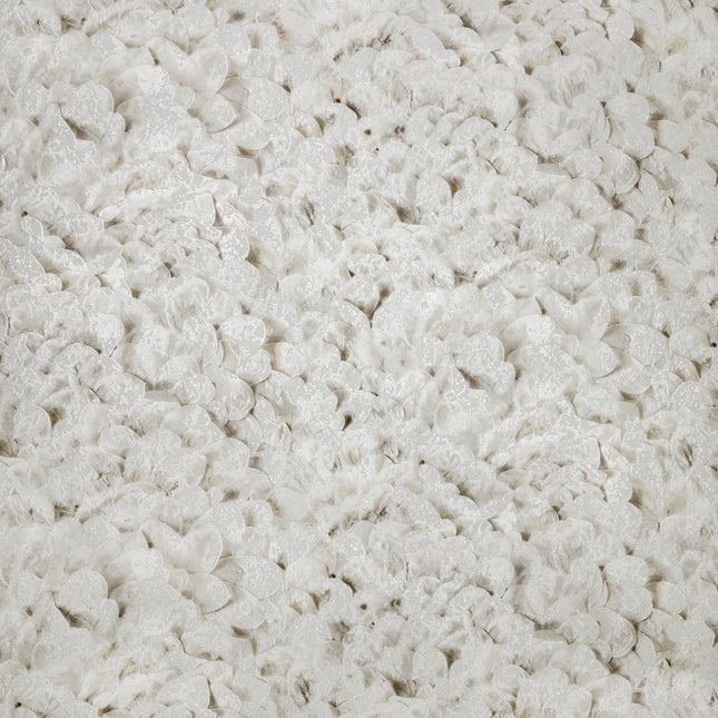 Muster von Salt,  Arco Allspice