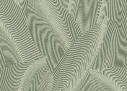 Leaf AL26221