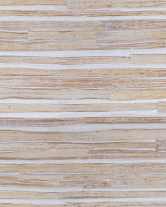 Collection image for: Aruba