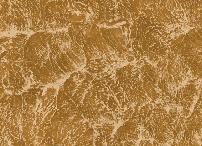 Sepia B00200N