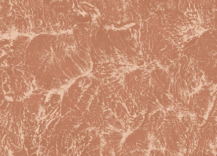 Sepia B00201V