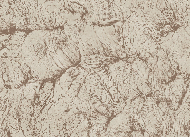 Sepia B00202N