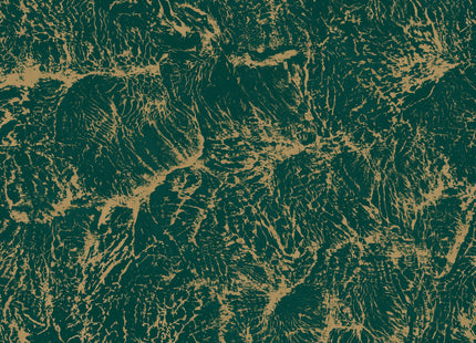Sepia B00203N