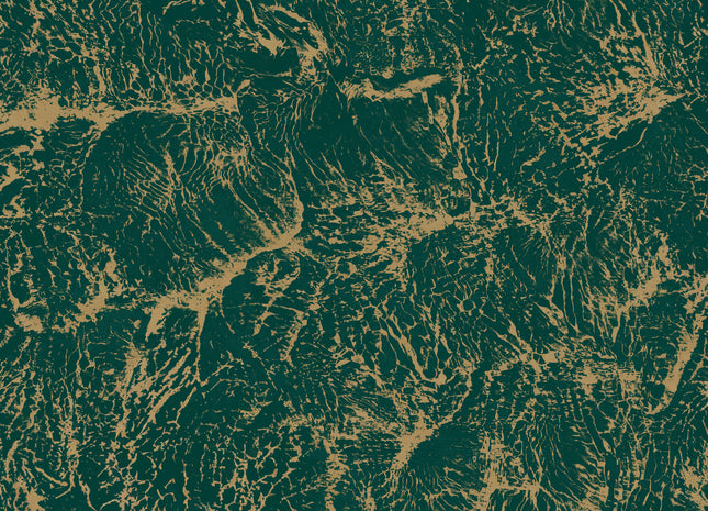 Sepia B00203N