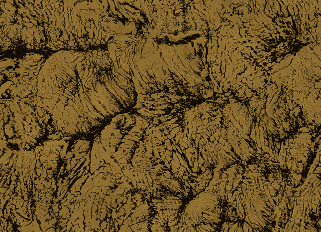 Sepia B00204N