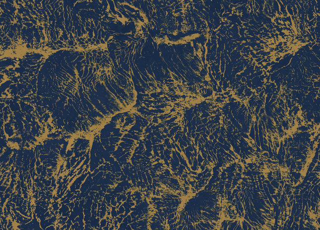 Sepia B00205N