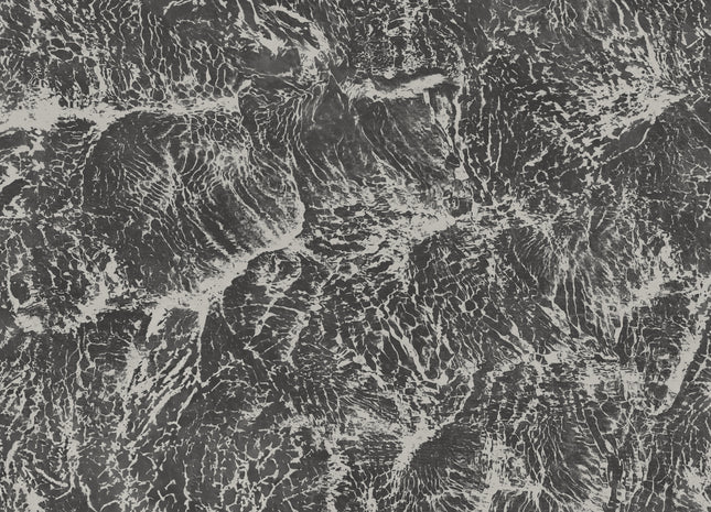Sepia B00206N