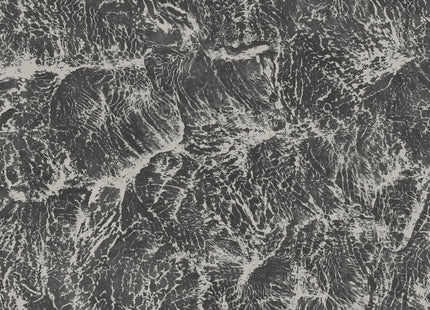 Sepia B00206V