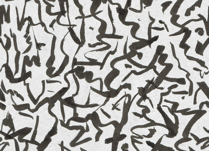 Fluid B00226V