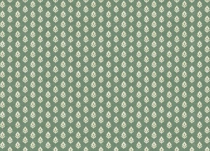 Clover B00306N