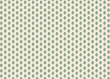 Clover B00307N