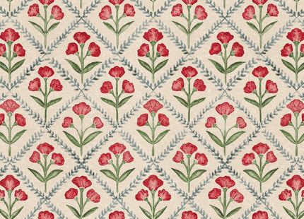 Poppy B00321N