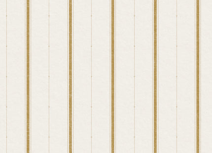 Lineal B00343N