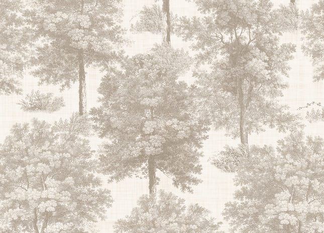 Chestnut tree B00352V