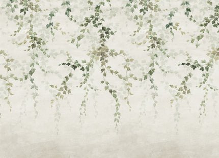 Vine Shadow B00359N