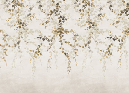 Vine Shadow B00360N