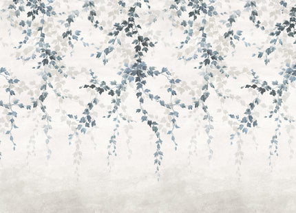 Vine Shadow B00361V