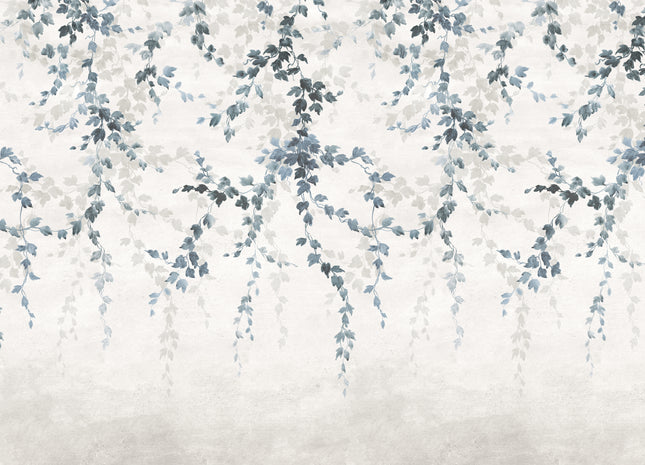 Vine Shadow B00361N
