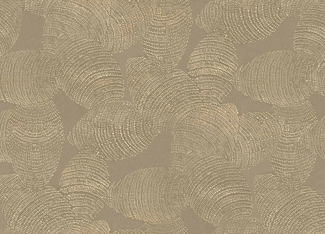 Rif Relief B00408B