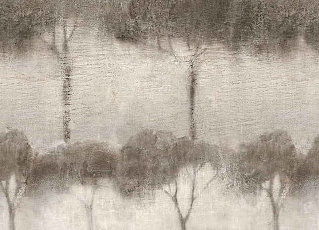 Ourika Trees B00416N