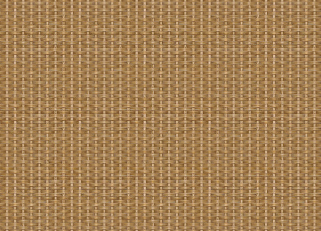 Kuba Raffia B00441B