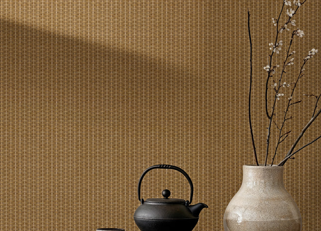Kuba Raffia B00441B