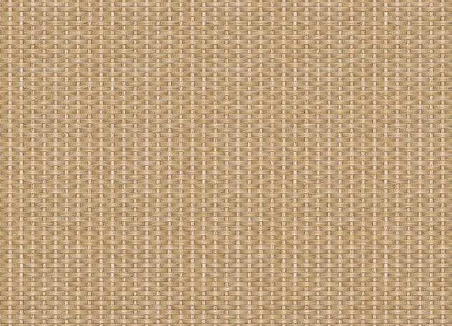 Kuba Raffia B00442B