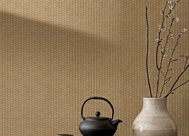 Kuba Raffia B00442B