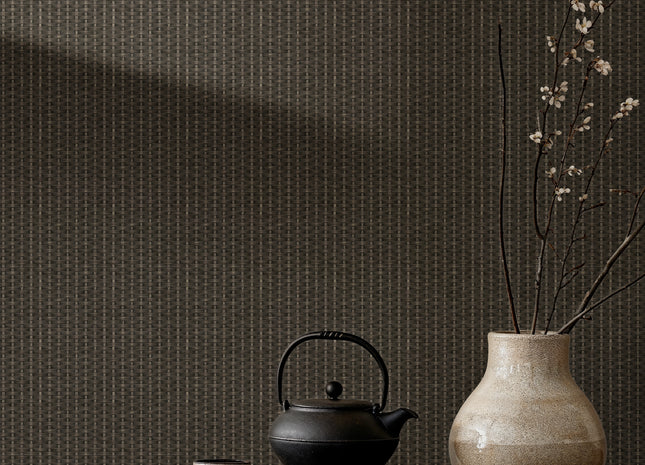 Kuba Raffia B00443B
