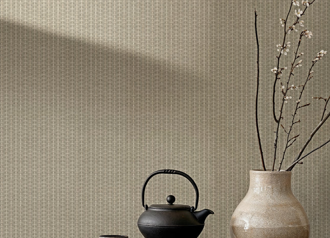 Kuba Raffia B00444B