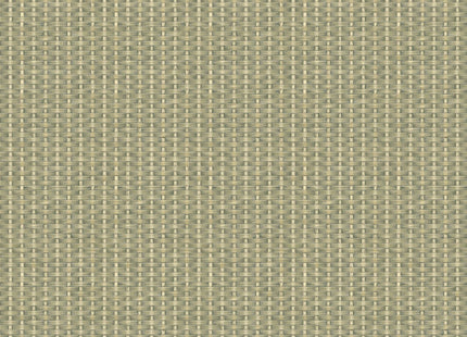 Kuba Raffia B00445B