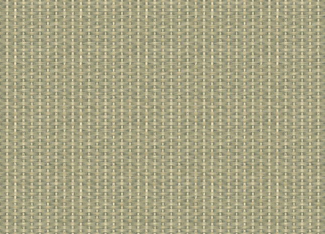Kuba Raffia B00445B