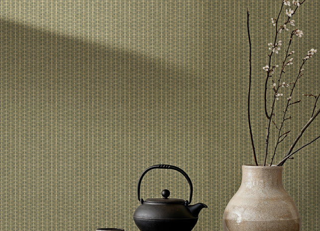 Kuba Raffia B00445B