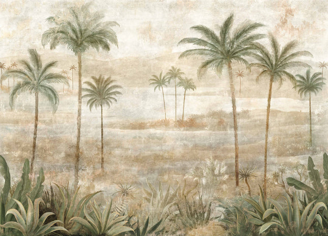 Draa Palms B00452N