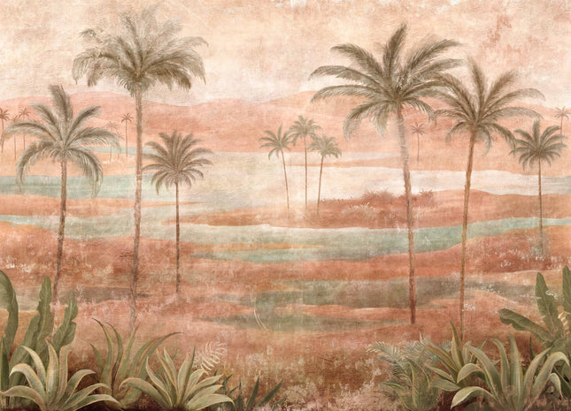 Draa Palms B00453N