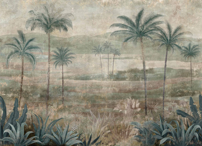 Draa Palms B00454N