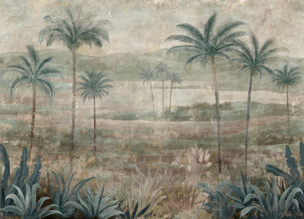 Draa Palms B00454B