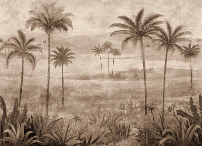 Draa Palms B00455B