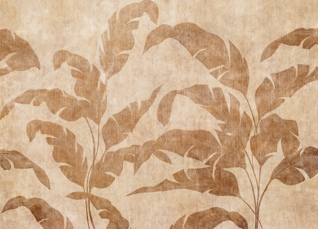 Leaves Shadow B00466B